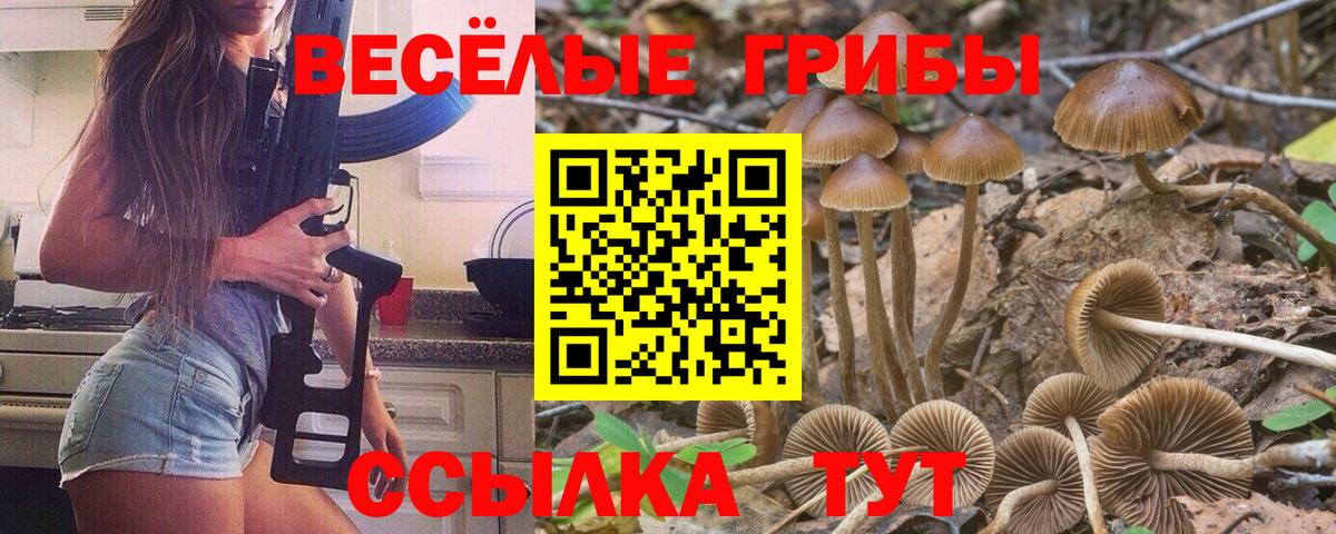 где купить наркоту  Галлюциногенные грибы мухоморы  Галлюциногенные грибы Psilocybine cubensis  Вход с VPN  Дзержинск 