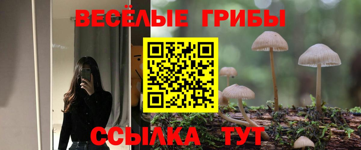Псилоцибиновые грибы мухоморы Дзержинск